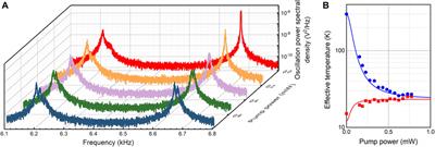 Sympathetic feedback cooling in the optomechanical system consisting of two coupled cantilevers